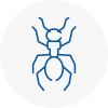 Ant Removals In Langley Mill