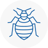 Bed Bug Extermination In Langley Mill