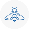 Bee Nest Removal Langley Mill