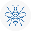 Langley Mill Hornet Nest Removals