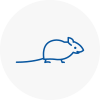 Mice Exterminators In Langley Mill