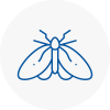 Moth Control Specialists In Langley Mill