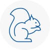 Langley Mill Rodent Removals
